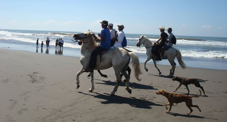 Cabalgata por Costa del Este