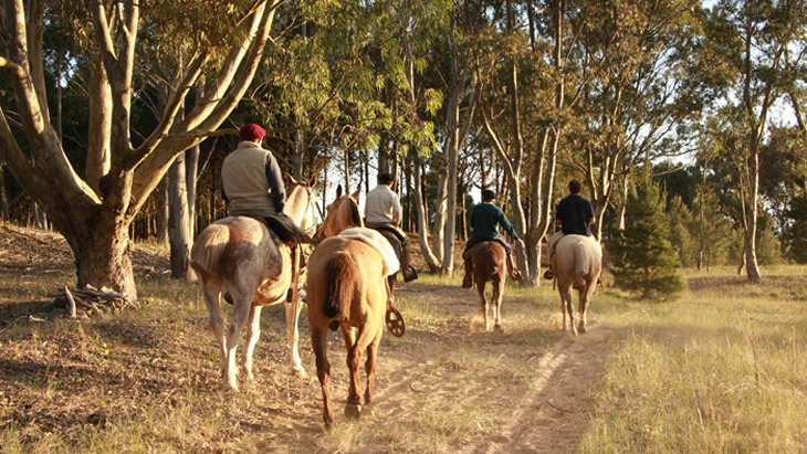 Cabalgata en Costa Esmeralda