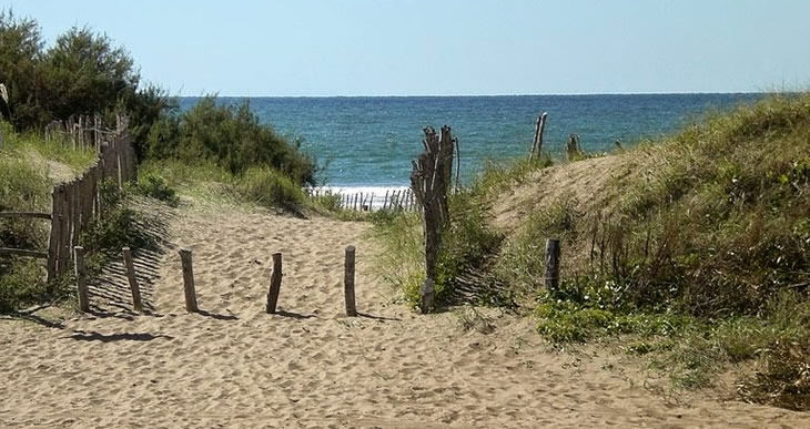 playas de aguas verdes