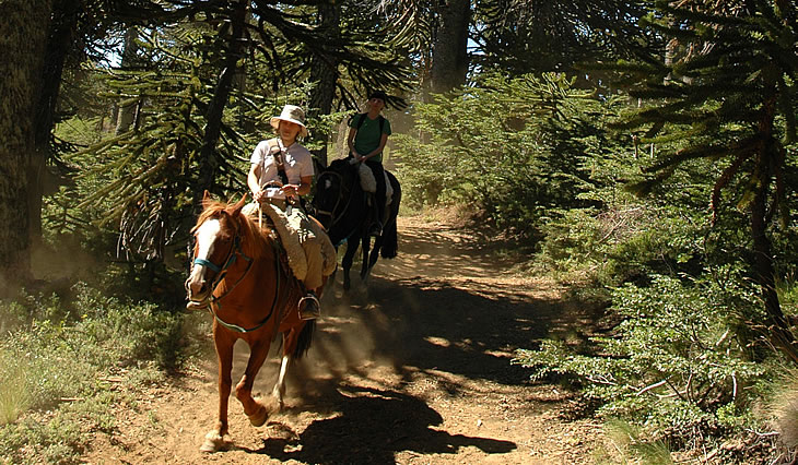 Cabalgata en Caviahue